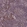 Anti-RPS19BP1 Antibody