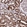 Anti-CHCHD3 Antibody