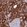 Anti-BMS1 Antibody