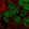 Anti-GPRIN3 Antibody