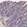 Anti-TUBGCP4 Antibody