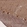 Anti-LIN37 Antibody