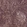 Anti-CABIN1 Antibody