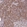 Anti-JMY Antibody