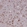 Anti-JMY Antibody