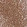 Anti-ZNF584 Antibody