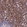 Anti-CD5 Antibody