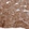 Anti-NOSIP Antibody