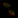 Anti-HPF1 Antibody