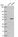 Anti-WDR55 Antibody
