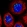 Anti-RSL1D1 Antibody