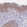Anti-SPTBN2 Antibody