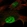 Anti-ZNF606 Antibody