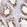 Anti-SNX20 Antibody