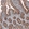 Anti-FASTKD1 Antibody