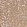 Anti-SLC38A9 Antibody