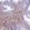Anti-GFRA1 Antibody