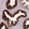 Anti-VWCE Antibody