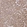 Anti-PC Antibody