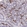 Anti-JCHAIN Antibody