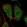 Anti-GNB5 Antibody