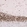Anti-CIC Antibody