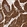 Anti-PRKAB2 Antibody