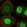 Anti-ZNF652 Antibody
