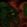 Anti-SP6 Antibody