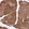 Anti-CDNF Antibody