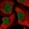 Anti-CELF1 Antibody