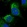 Anti-UTP15 Antibody