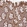 Anti-RBSN Antibody