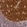 Anti-HMCES Antibody