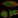 Anti-TMEM74B Antibody