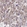 Anti-WASF2 Antibody