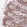 Anti-BEX2 Antibody
