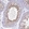 Anti-LDHC Antibody