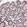 Anti-NYAP2 Antibody