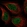 Anti-ZNF235 Antibody