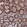 Anti-PPCDC Antibody