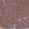 Anti-PPCDC Antibody