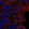 Anti-CD24 Antibody