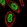 Anti-FOXP3 Antibody