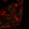 Anti-CRIPT Antibody
