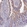 Anti-PRR13 Antibody
