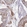 Anti-SCAPER Antibody