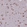Anti-FAM173A Antibody