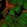 Anti-C19orf67 Antibody