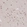 Anti-ZBTB7A Antibody